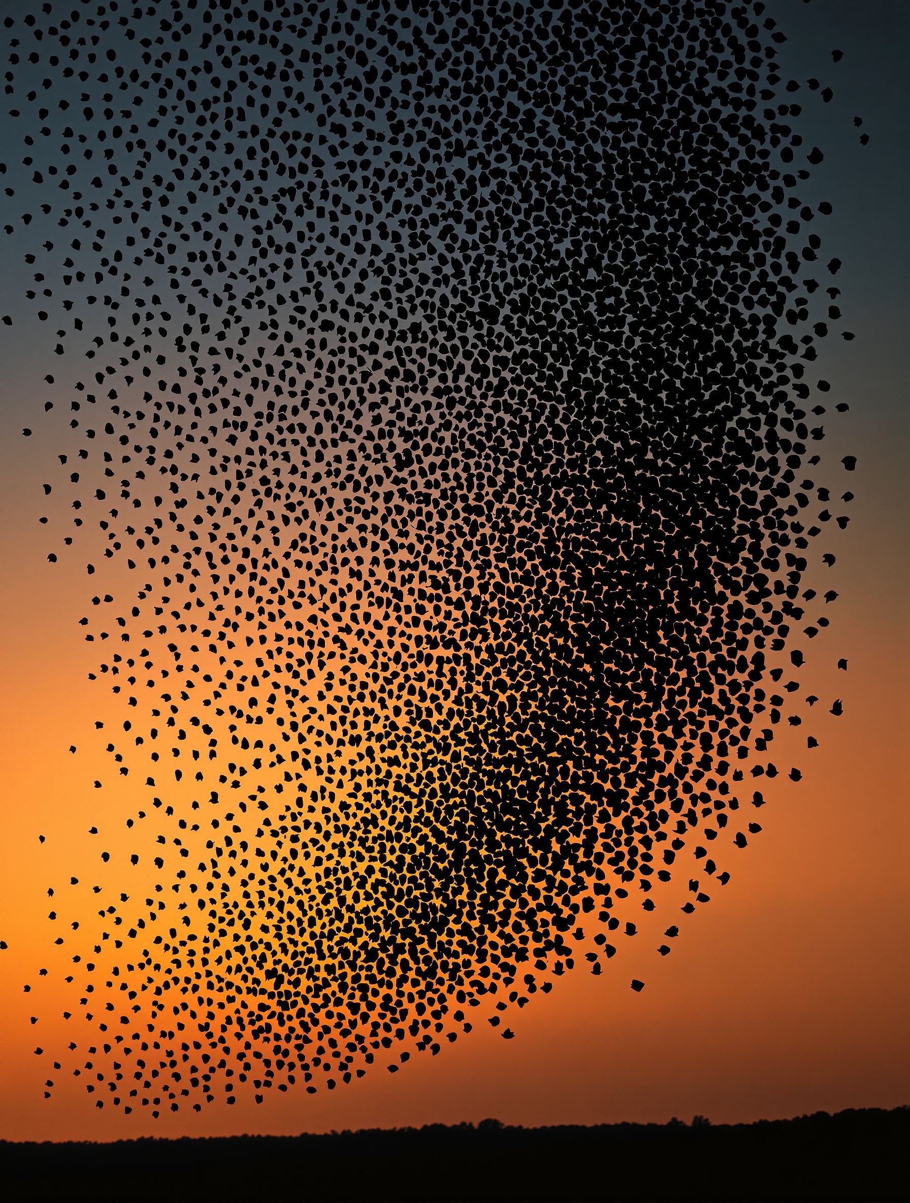 Die Beziehung zwischen Schumann-Resonanz und Tierverhalten