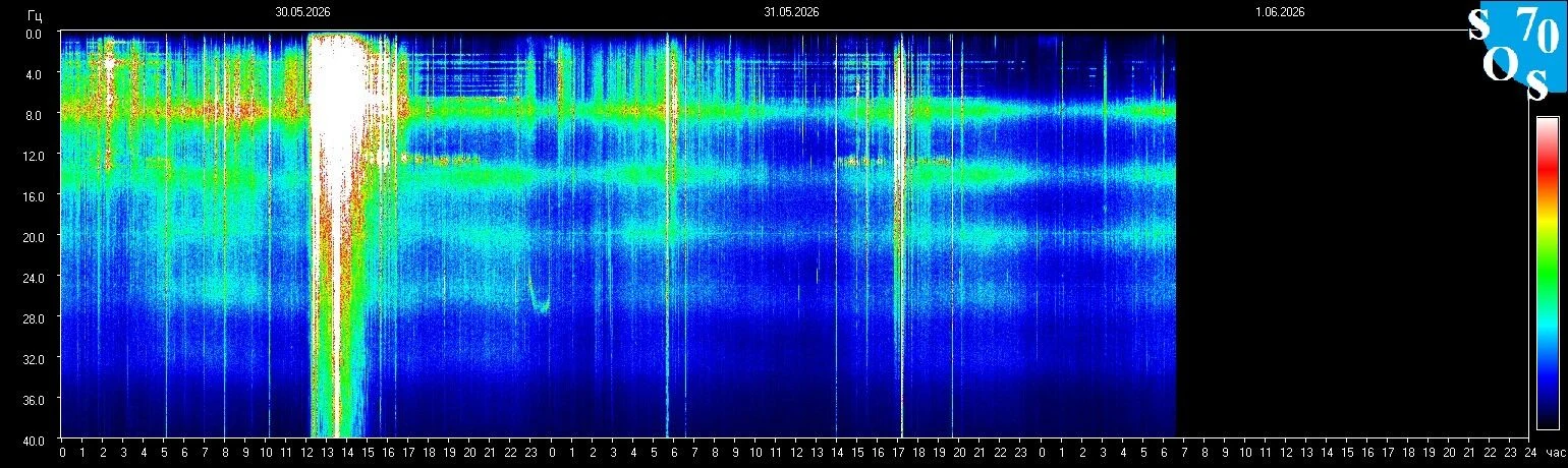Schumann-Resonanz-Spektrogramm vom 31. Mai 2026 — gemessen in Tomsk, Russland