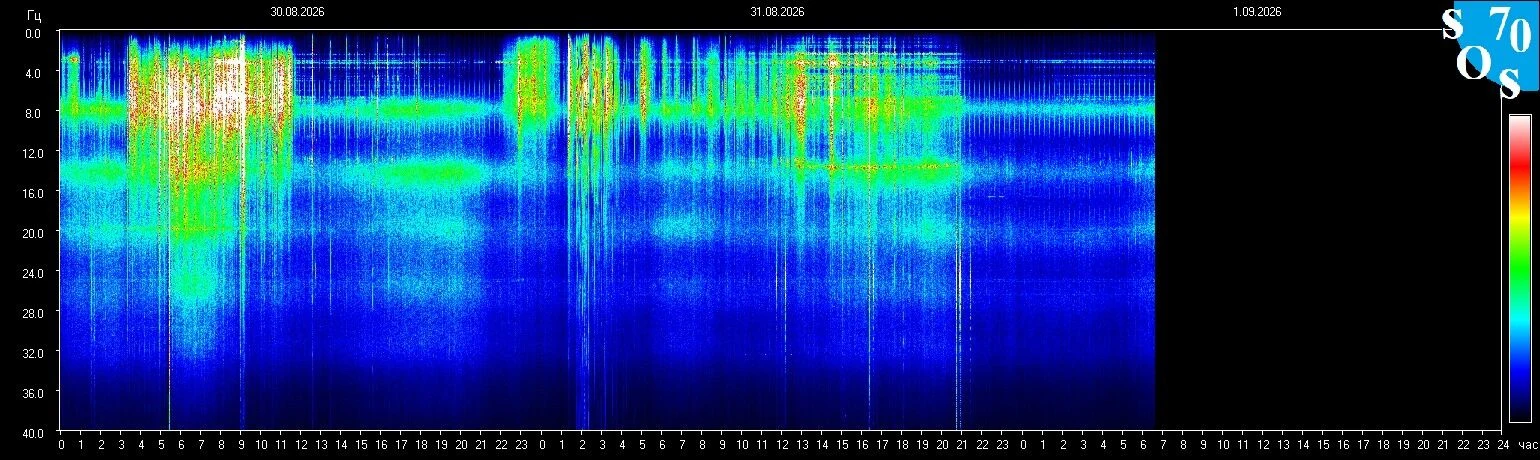 Schumann-Resonanz-Spektrogramm vom 31. August 2026, gemessen in Tomsk, Russland