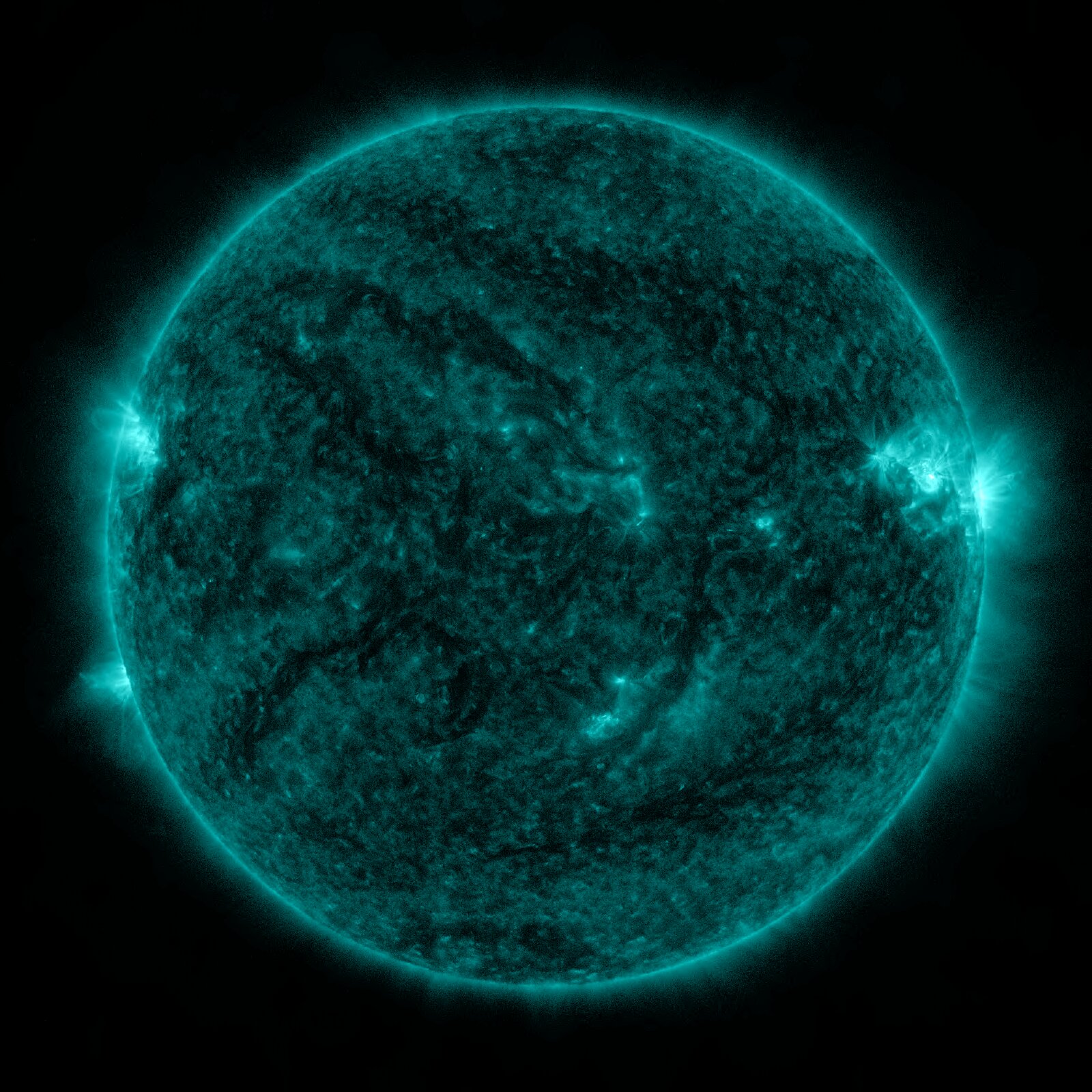 SDO 0131 Å, Standbild: Extrem heißes Plasma: Solar-Flares blitzen hier auf, bevor sie woanders sichtbar sind.