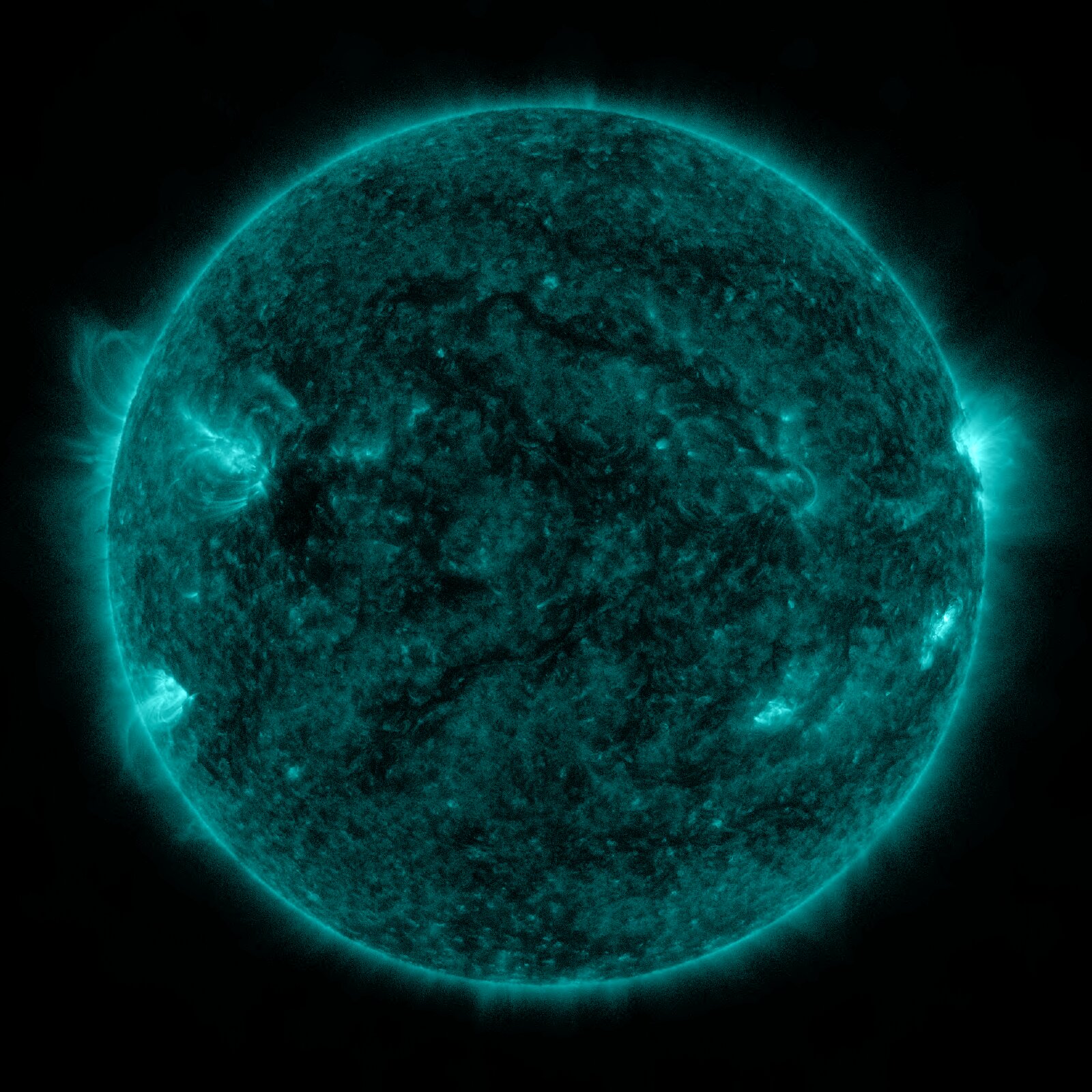 SDO 0131 Å, Standbild: Extrem heißes Plasma: Solar-Flares blitzen hier auf, bevor sie woanders sichtbar sind.