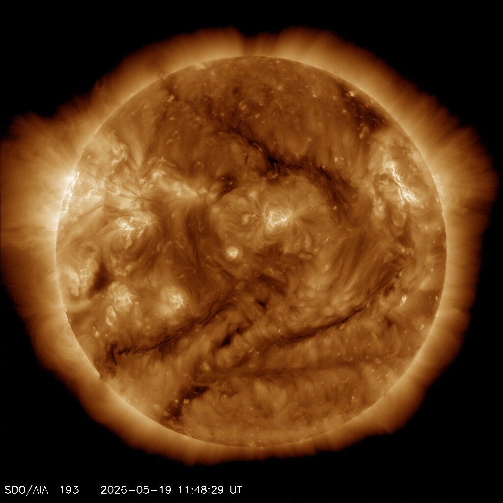 SDO 0193 Å — Standbild: Heiße Korona im extremen UV — Sonnenflecken-Regionen leuchten am stärksten.