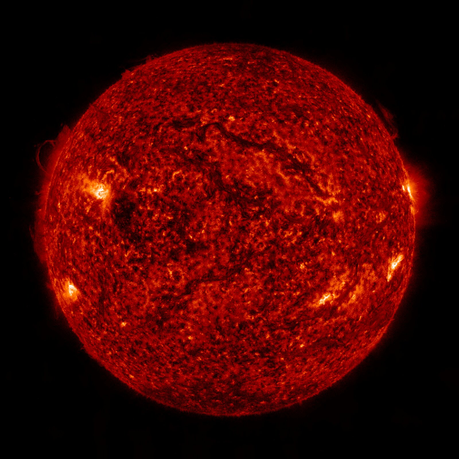 SDO 0304 Å, Standbild: Chromosphäre: Filamente und Protuberanzen tanzen am Sonnenrand.