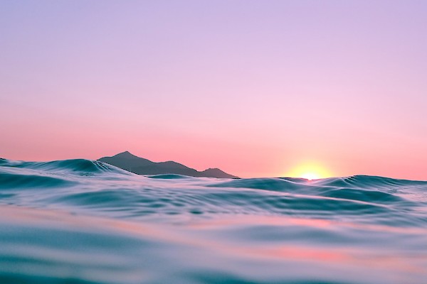 Das Gesetz der Schwingung