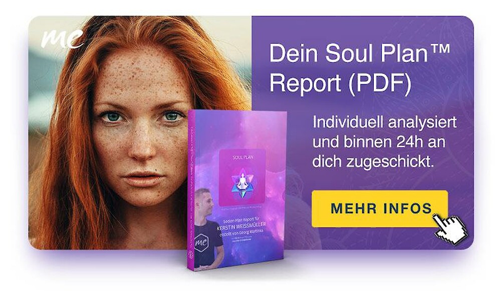 Soul Plan™Report