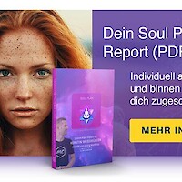 Soul Plan™Report