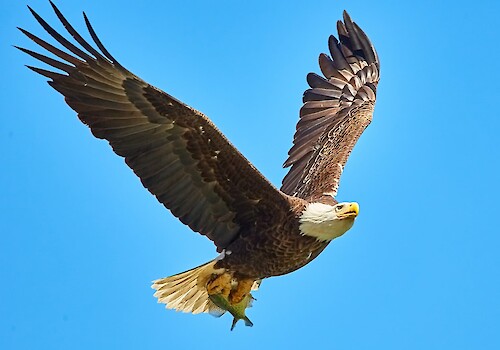 Die Bedeutung von Verantwortung